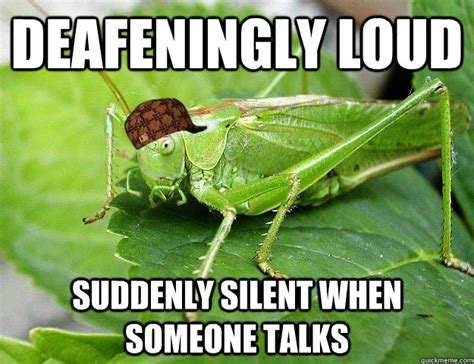 Deafeningly loud Suddenly silent when someone talks - Scumbag Cricket ...