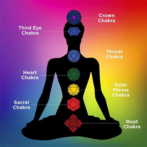 Chakras and the Channels of Energy | Vinyasa Yoga Academy