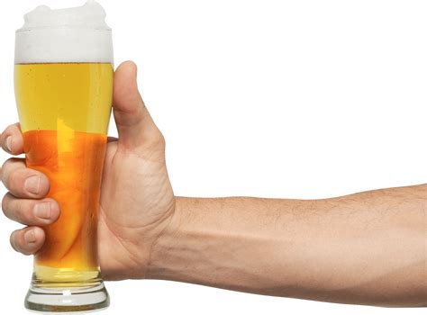 Collection of Beer PNG. | PlusPNG