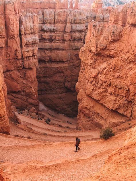 Best Trails in Bryce Canyon: Ultimate 1-3 Day Itinerary - Lemon Bubbly