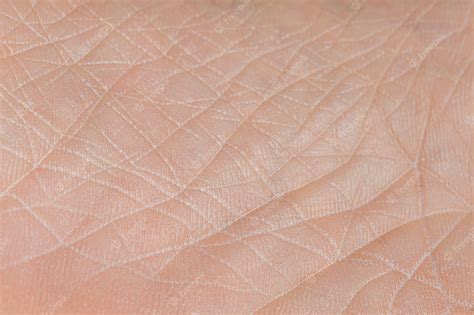 Imn Paști găleată human skin texture seamless cultură lunar Pelerină