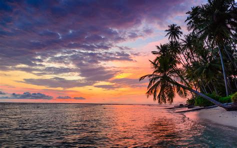 Tropical Beach Sunset 4k Wallpaperhd Nature Wallpapers4k Wallpapers | Images and Photos finder