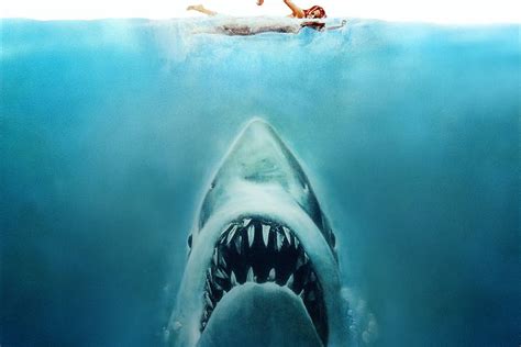 'Jaws' available on Blu-ray August 14th, with remastered audio and restored visuals - The Verge