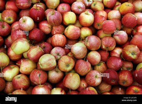 apple pie gala Stock Photo - Alamy