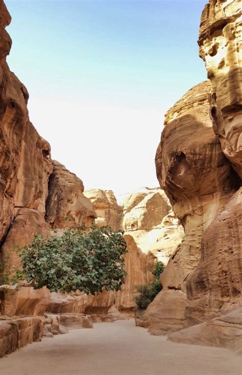 9 Best Petra Hiking Trails: Main Trail to the Monastery - Jordan Traveler