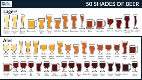 50 Shades of… Beer (Explore the Rainbow of Brew!)