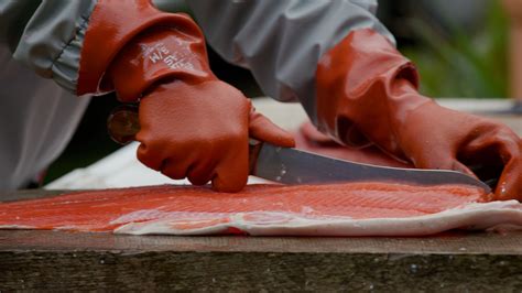 King salmon populations are dying, simultaneously affecting whales and ...