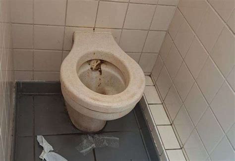 Police hunt for person spreading poo on walls of public toilets in Mid ...