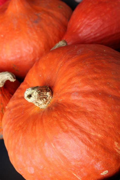 Free Images : street, flower, decoration, orange, reflection, produce, autumn, pumpkin ...