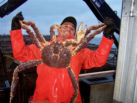 Alaska’s crab fishery canceled for the first time since 1994 | National ...