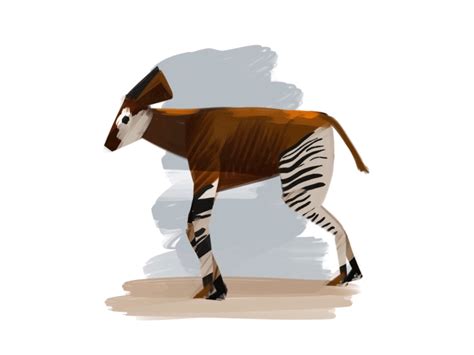 Okapi by Tim Piotrowski on Dribbble