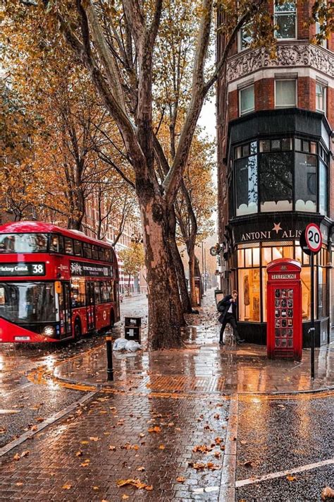 London Beauty, england, london, beauty, trees, street, lights, blue ...