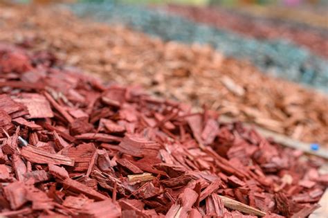 Mulch Colors | How to Choose the Best One for Your Exterior!