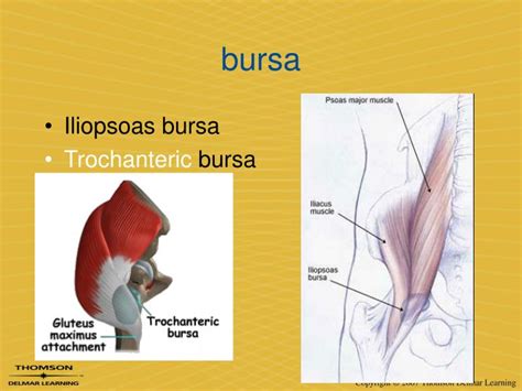 PPT - OA 1.13 PowerPoint Presentation - ID:1898401