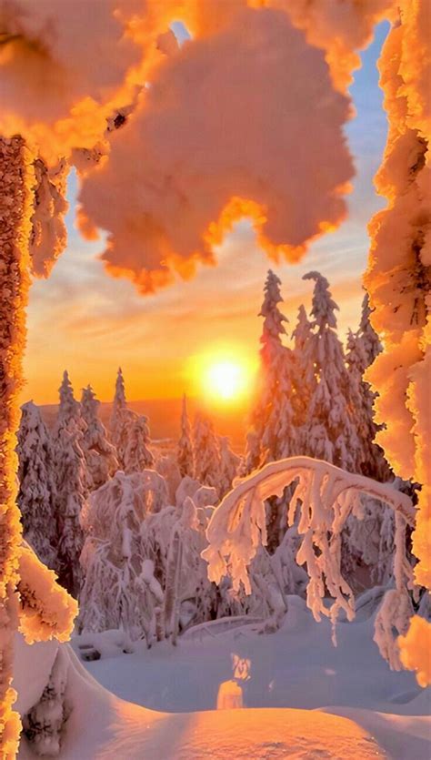 Pin di Muhammad Naeem su Winter pictures | Paesaggi, Bellissimi sfondi ...