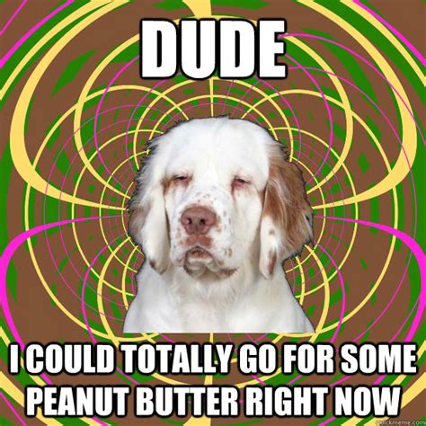 Really High Dog memes | quickmeme