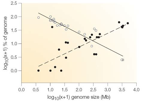 evolution - Variations in Genome Sizes - Biology Stack Exchange