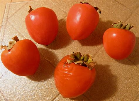 curridiculum: Hachiya Persimmon