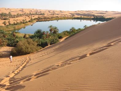 الواحات بالصحراء المغربية – بوابة الرابطة المحمدية للعلماء