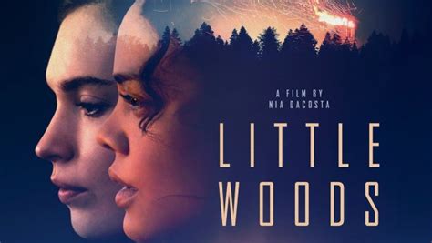 Little Woods |Teaser Trailer