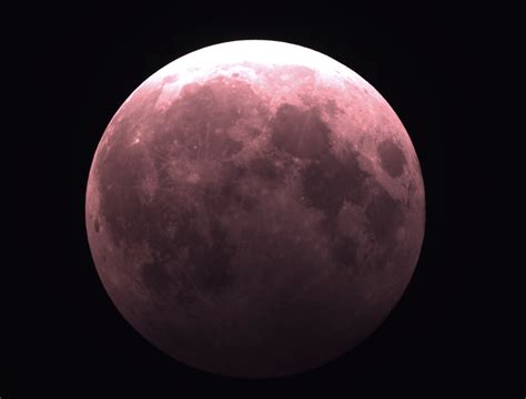 Lunar Eclipse 2021 : astrophotography