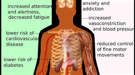 Negative Effects Of Red Bull - Effect Choices