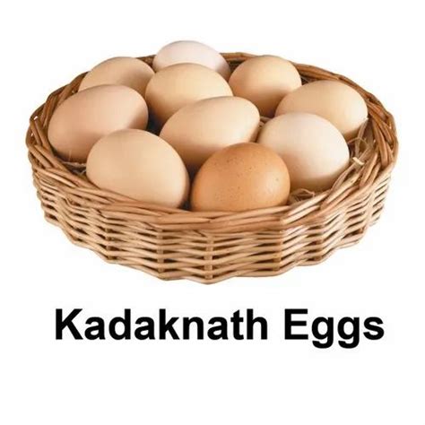 Kadaknath Chicken Egg - Wholesale Price & Mandi Rate for Kadaknath Chicken Egg