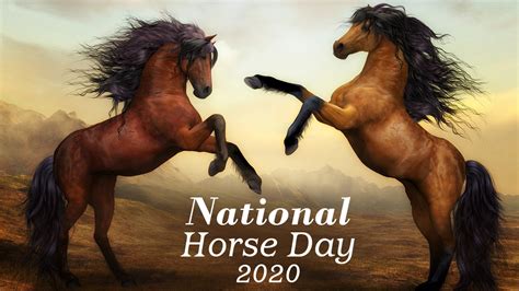 National Horse Day 2020 Date, History and Significance: Know Everything About the Day That ...