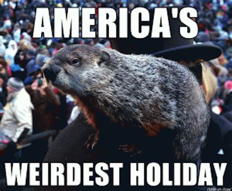 Groundhog Day Memes For 2017, In Hopes That His Shadow Doesn't Scare Him