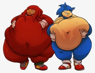 Download Photo - Fat Sonic And Knuckles | Transparent PNG Download | SeekPNG