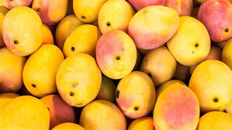 Food News | This Mango Season in India, Here's a Selection of Delightful Varieties for You | 🍔 ...