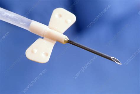 Butterfly Needle - Stock Image - C007/5538 - Science Photo Library