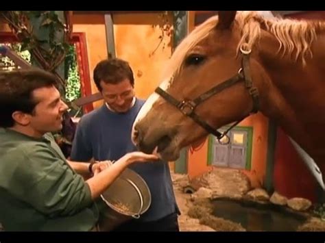 Zoboomafoo Beautiful Horses Full Episode Animal