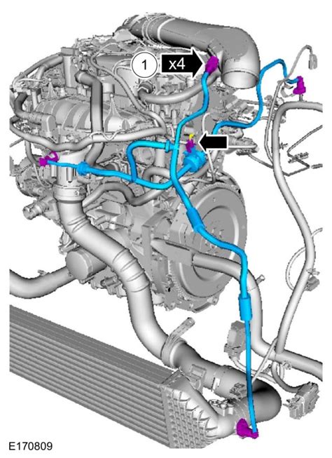 Trying to find Evap Purge Valve 2016 Escape 1.6 ecoboost. 55k. P1446c ...