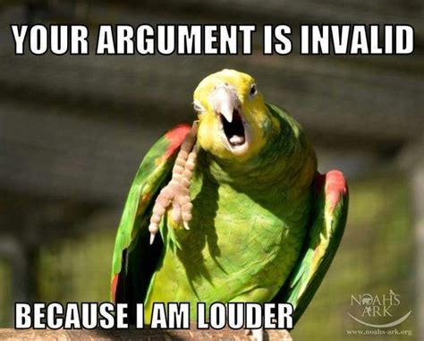 48 best Bird Memes images on Pinterest | Parrots, Animales and Animal funnies