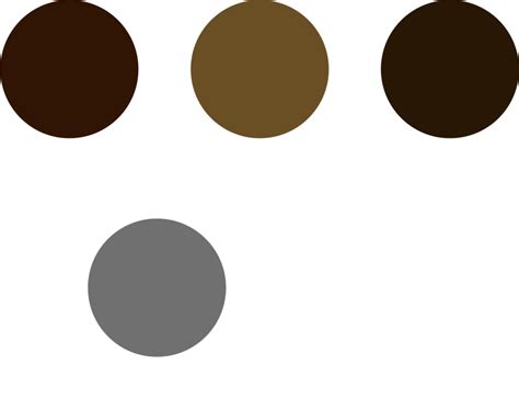 Download Color Options - Circle PNG Image with No Background - PNGkey.com