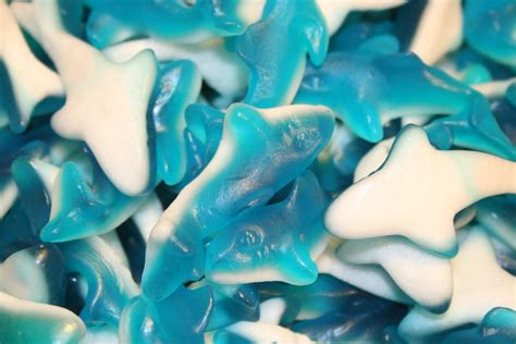 BAYSIDE CANDY GUMMY BLUE SHARKS, 1LB - Walmart.com - Walmart.com