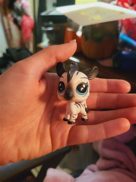 First Newer Gen I've Ever Purchased! : r/LittlestPetShop