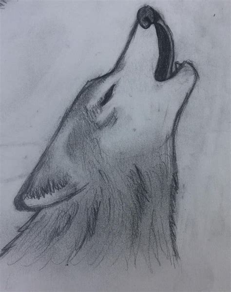 Howling wolf drawing | Easy drawings sketches, Wolf drawing, Cool wolf drawings