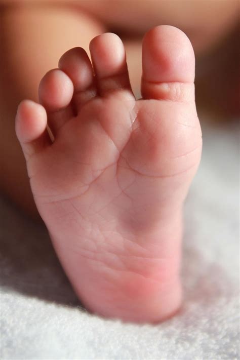 Free picture: child, foot, baby, infant, kid, newborn, cute, childhood