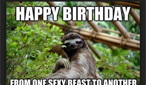 Sloth Happy Birthday Meme Birthday Memes for Friend Wishesgreeting | BirthdayBuzz