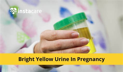 Pregnancy Urine Color Everything You Need to Know About