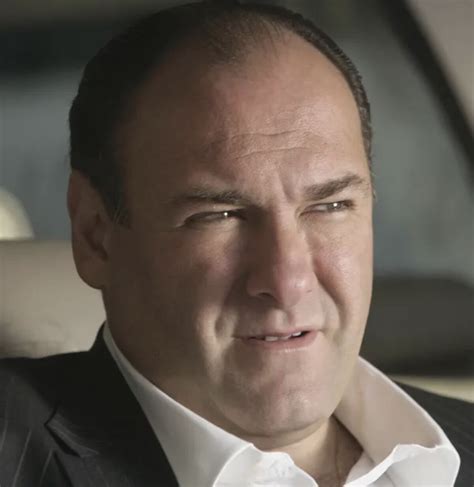 Anthony Soprano | The Sopranos Wiki | Fandom