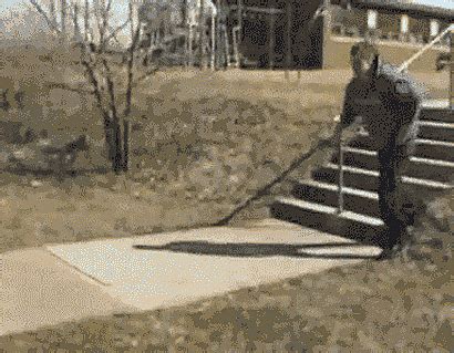 11 GIFs That Prove Parkour Is a Really Bad Idea