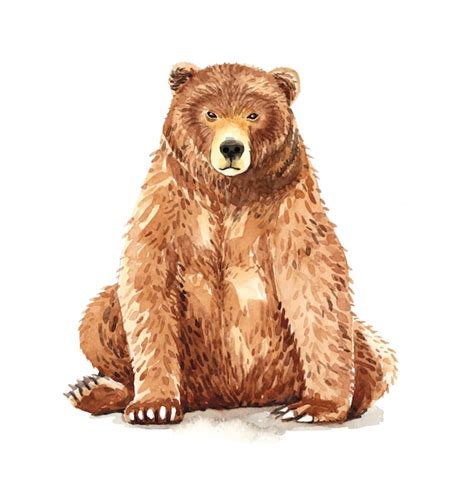 Premium Vector | Sitting bear watercolor painting.