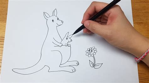 How to Draw a Kangaroo - Easy Draw Tutorial - YouTube