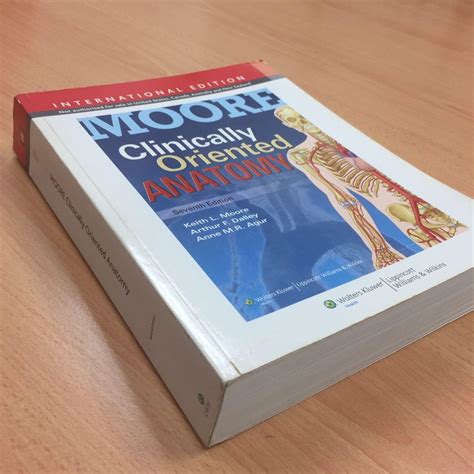 MOORE Clinically Oriented Anatomy, 7th Edition, International Edition, Hobbies & Toys, Books ...