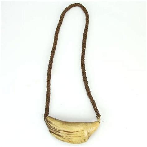 Tabua whale tooth necklace polished & bound with coconut fibre ...