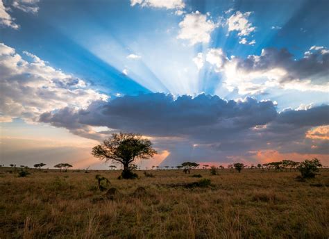 A Spectacular Serengeti Sunset | Smithsonian Photo Contest ...