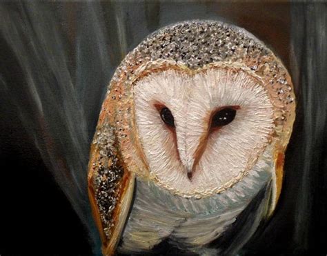 Barn Owl Original Oil Painting 300mm x 230mm by stuartcaress | Original oil painting, Barn owl ...